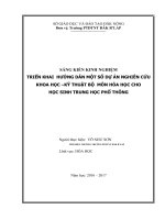 skkn TRIỂN KHAI  HƯỚNG dẫn một số dự án NGHIÊN cứu KHOA học –kỹ THUẬT bộ  môn hóa học CHO học SINH TRUNG học PHỔ THÔNG 