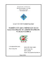 NGHIÊN cứu QUY TRÌNH sản XUẤT KALI SULPHATE từ AMONI SULPHATE và KALI CLORUA 