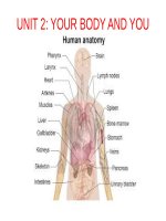 Unit 02. Your Body and You. Lesson 1. Getting started