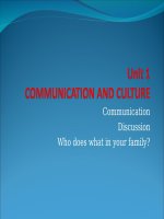 Unit 01. Family Life. Lesson 7. Communication and Cuture