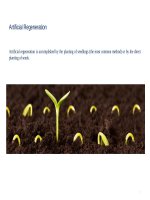 MÔN QUẢN LÝ THẢM THỰC VẬT: artificial regeneration 1