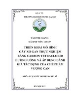 Triển khai mô hình gây xơ gan thực nghiệm bằng carbon tetraclorid đường uống và áp dụng đánh giá tác dụng của chế phẩm vượng gan 