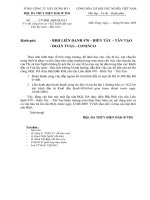 CV thi cong DVH co 622 kenh dan vao CLN bac tren lan 2 