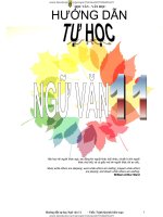 Ôn tập  ngữ văn lớp 11