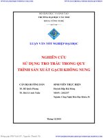 NGHIÊN cứu sử DỤNG TRO TRẤU TRONG QUY TRÌNH sản XUẤT GẠCH KHÔNG NUNG 