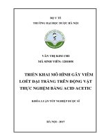 Triển khai mô hình gây viêm loét đại tràng trên động vật thực nghiệm bằng acid acetic 