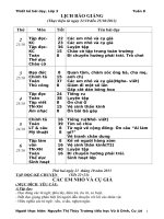 Thiết kế bài dạy lớp 3 tuần 8 