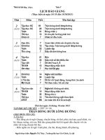 Thiết kế bài dạy lớp 3 tuần 7 