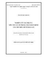 Nghiên cứu giá trị của siêu âm cản âm trong chẩn đoán bệnh ung thư biểu mô tế bào gan