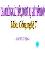 Bài 20. Thu hoạch, bảo quản và chế biến nông sản