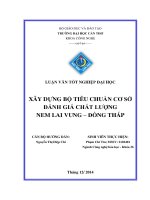 XÂY DỰNG bộ TIÊU CHUẨN cơ sở ĐÁNH GIÁ CHẤT LƢỢNG NEM LAI VUNG – ĐỒNG THÁP 