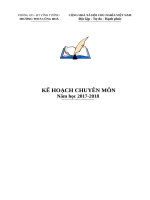 KẾ HOẠCH CHUYÊN MÔN TRƯỜNG THCS