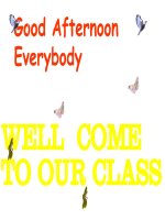 Unit 11. Travelling in the Future. Lesson 7. Looking back & project