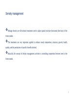 MÔN QUẢN LÝ THẢM THỰC VẬT RỪNG: :" Density Management"