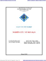 NGHIÊN cứu vê MEN rạn 