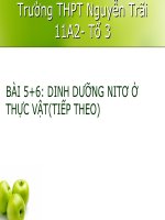 Bài 6. Dinh dưỡng nitơ ở thực vật (tiếp theo)