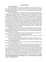 Một số kinh nghiệm tổ chức hoạt động khám phá môi trường xung quanh cho trẻ mẫu giáo 5 6 tuổi ở trường mầm non 