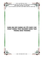 Giáo án tổ chức Hoạt động trải nghiệm sáng tạo ở Tiểu học