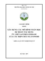 Xây dựng các mô hình toán học dự đoán tác dụng ức chế xathin oxidase của các hợp chất flavonoid 