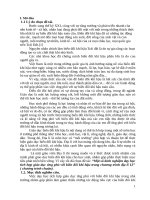 Một số kinh nghiệm dạy học tích hợp giáo dục ứng phó với biến đổi khí hậu trong chương trình địa lí 12” ( chương trình chuẩn)  