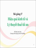 MPP8 513 l17v hieu qua kinh te va ly thuyet thue toi uu  do thien anh tuan 2016 04 19 09034609 