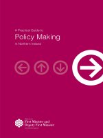 practical guide policy making in northern ireland 
