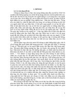 Một số kinh nghiệm chỉ đạo nâng cao chất lượng chuyên môn ở trường mầm non dân quyền 