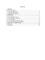 skkn một số biện pháp nâng cao chất lượng PTTM cho trẻ 3   4 tuổi thông qua hoạt động giáo dục âm nhạc trường MN hưng lộc 