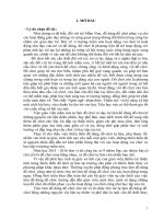 skkn một số kinh nghiệm triển khai và chỉ đạo giáo viên làm đồ dùng đồ chơi ở trường mầm non 