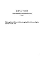 Phân tích tình hình doanh nghiệp đối với công ty cổ phần thế giới số trần anh