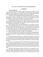 skkn một số biện pháp chỉ đạo xây dựng môi trường giáo dục phát huy tính tích cực của trẻ ở các trường mầm non huyện đông sơn 