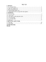 skkn một số biện pháp nâng cao chất lượng cho trẻ 4 5 tuổi làm quen với tác phẩm văn học thông qua kể chuyện ở trường mầm non hưng lộc 