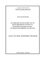 Xác định một số gen mã hóa yếu tố quyết định kháng nguyên của xoắn khuẩn leptospira interrogans gây bệnh leptospirosis tại việt nam 