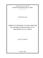 Nghiên cứu ảnh hưởng của liều lượng tro bay tới một số tính chất đất cát và sinh trưởng của cây trồng 