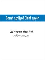 MPP8 542 l13v doanh nghiep va chinh quyen  pham duy nghia 2016 08 18 08181079 