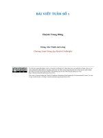 MPP8 544 PR01V bai viet hang tuan so 1  huynh trung dung 2016 08 15 09115161 