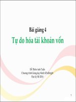 MPP8 553 l04v tu do hoa tai khoan von  do thien anh tuan 2016 07 15 10035836 