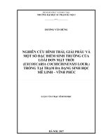 Nghiên cứu hình thái, giải phẫu và một số đặc điểm sinh trưởng của loài đơn mặt trời (excoecaria cochichinensis lour ) trồng tại trạm đa dạng sinh học mê linh   vĩnh phúc (LV02336) 