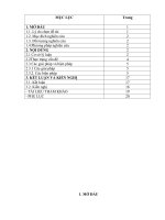 skkn một số biện pháp nâng cao chất lượng phát triển nhận thức thông qua hoạt động KPKH cho trẻ 4   5 tuổi trường mầm non hưng lộc 