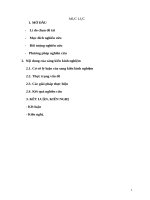 Một số biện pháp chỉ đạo GV nâng cao chất lượng làm đồ dùng đồ chơi từ NVL sẵn có ở địa phương 