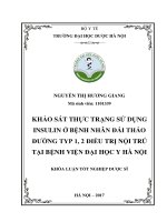 Khảo sát thực trạng sử dụng insulin ở bệnh nhân đái tháo đường typ 1,2 điều trị nội trú tại bệnh viện đại học y hà nội 