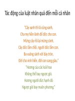 Triethoc luatnhanqua 