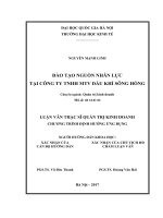 Đào tạo nguồn nhân lực tại công ty TNHH MTV dầu khí sông hồng 