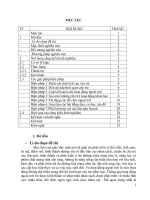 skkn một số biện pháp nhằm phát huy tính tích cực chủ động của trẻ 4 5 tuổi thông qua hoạt động ngoài trời  