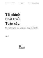 tai chinh phat trien toan cau no nuoc ngoai cua cac nuoc dang phat trien  world bank 2016