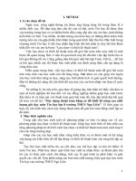 Xây dựng thuật toán bằng sơ đố khối để nâng cao chất lượng giờ dạy môn tin học lớp 8 trường THCS nga liên 