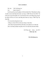 Biện pháp huy động vốn đầu tư dự án mặt bằng kinh doanh của công ty TNHH tiếp vận nam phát 