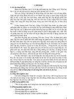 Một số biện pháp rèn kĩ năng làm văn miêu tả cho học sinh lớp 5 