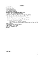 Biện pháp giáo dục kĩ năng sống cho HS lớp 9 thông qua dạy học lịch sử 