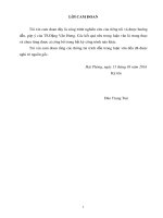 Hoạch định chiến lược phát triển sản phẩm bia việt hà của công ty TNHH MTV đầu tư việt hà 